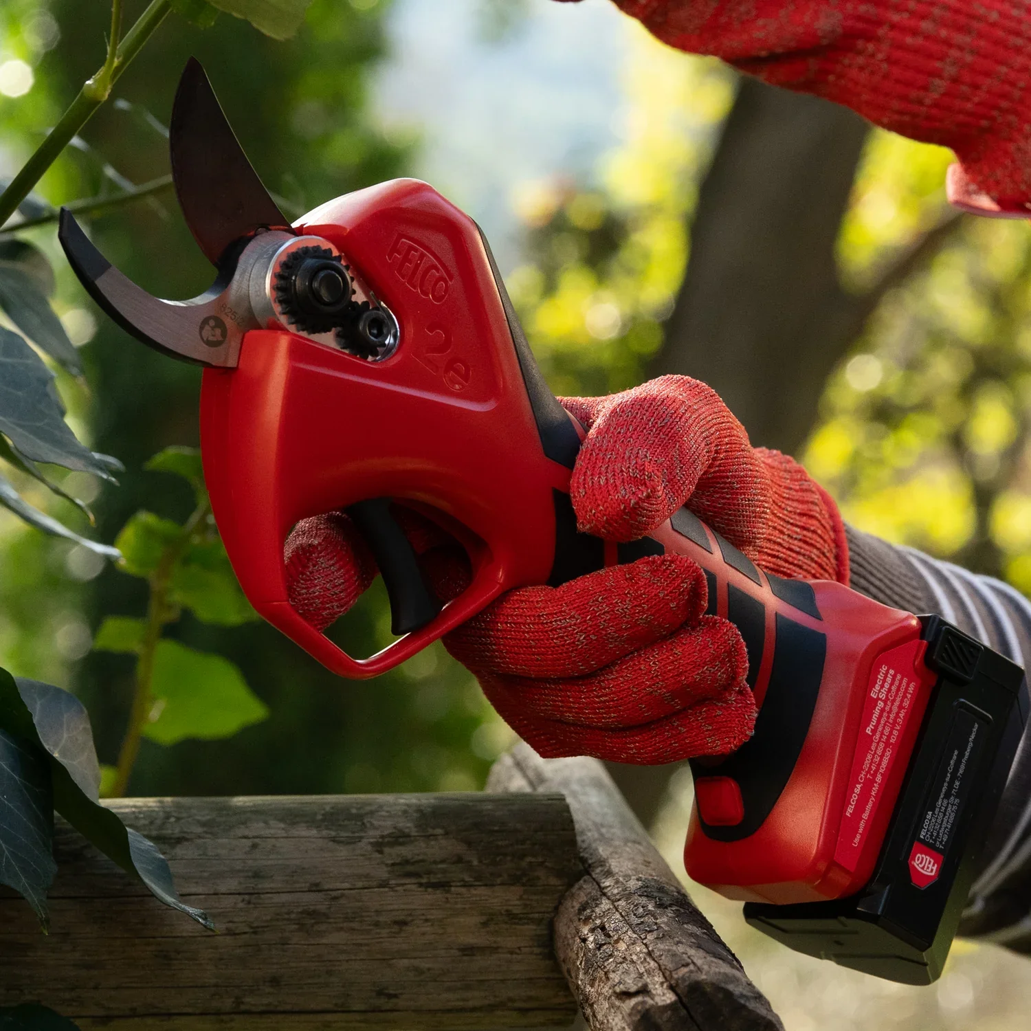 FELCO 2e